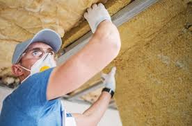 Best Insulation for Existing Homes  in Newark, NY